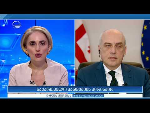 პანდემიის პირისპირ - დავით ზალკალიანი დღის ქრონიკაში